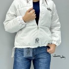 کاپشن گتردار alo